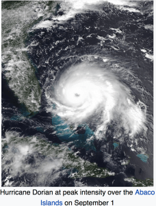 Screen Shot 2019-09-29 at 1.29.51 PM